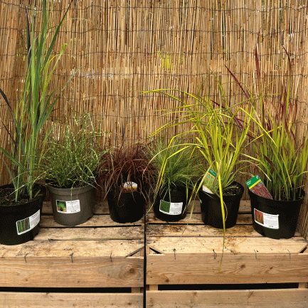 grass collection
